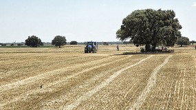 Foto de Cooperativas de Castilla-La Mancha analiza la evolución del mercado de cereal