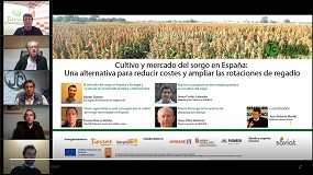 Foto de La revista Tierras y Sorghum ID dan a conocer el cultivo del sorgo en Espaa a travs de un concurrido webinar