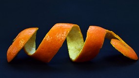 Foto de Os restos de comida no so lixo, vem a o contentor castanho