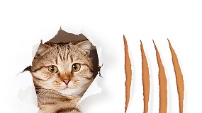 Foto de Ampacet amplia a gama de aditivos ScratchShield para melhorar a resistência contra a abrasão e os riscos nos artigos de plástico