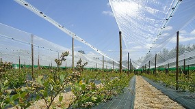 Foto de A COTESI no Mundo dos sistemas de proteo dos Pequenos Frutos