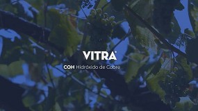 Foto de Vitra 40 WG (vdeo)
