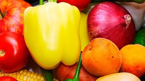 Foto de Las exportaciones del sector espaol de frutas y hortalizas crecieron un 7,7% en 2020