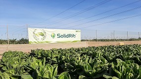 Picture of [es] Syngenta da a conocer la innovacin en cultivos de hoja a travs de 'Salads Emotion'