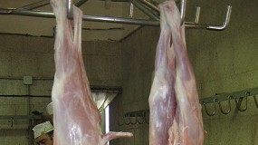 Foto de El sector del caprino de carne cerró el pasado año con un descenso del 2,5% en su producción