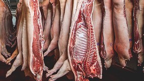 Foto de El sacrificio de porcino sube un 8,2% en 2020 y salva la producción cárnica anual