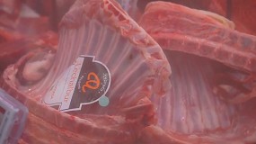 Foto de Sistema AFVT - Nebulizao Talhos e Charcutarias (vdeo)