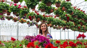 Foto de Tecnologia ReSPR para comrcio de frutas, legumes, flores e estufas (ficha de produto)