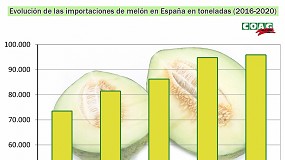 Foto de COAG denuncia la venta de melones de Brasil como si fueran espaoles