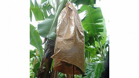 Foto de La soluci�n BanaBag triunfa en los Better Planet Packaging Awards de Smurfit Kappa