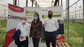 Foto de Agricultores de Coprohnjar comprueban los beneficios del control biolgico en sanda de invernadero