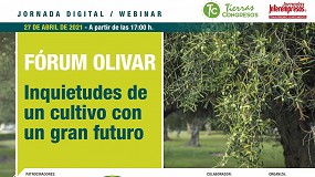 Foto de Un olivar sostenible y rentable es posible
