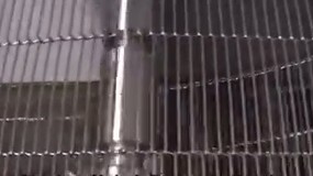 Foto de Fritadeiras (vdeo)