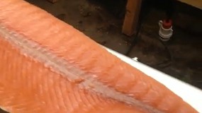 Foto de Descascadora de salmão V548 (vídeo)