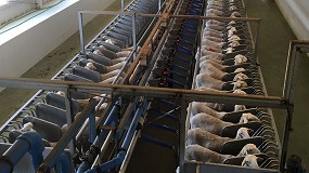 Foto de La leche dirigida a la DOP Queso Manchego sube a los niveles más altos desde el otoño de 2017