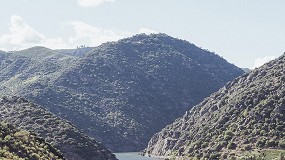 Foto de IVDP anuncia Rota dos Vinhos e Enoturismo do Porto e Norte