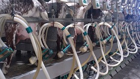 Foto de Las industrias que compran leche de cabra en España se reducen en un 8,8% en el último año