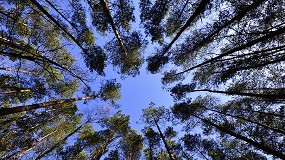 Foto de Projeto GEFRECON: primeira mesa de trabalho debate gest�o eficiente de propriedades florestais