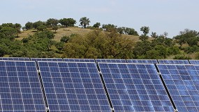 Foto de Apoio para instala��o de pain�is fotovoltaicos na agricultura: candidaturas abertas