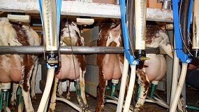 Foto de Cambio de tendencia en el caprino lechero con un aumento de producción interanual del 1,2% en abril