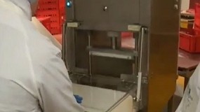 Foto de Mquina de amolecimento de carne semi-automtica (vdeo)