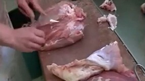 Foto de Cortadora e descascadora V540 (vdeo)