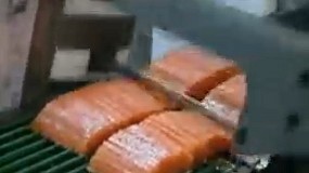 Foto de Mquina de corte vertical SM5290 para fatiar salmo e cavala (vdeo)