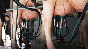 Foto de Concentración de ganaderos en Torrelavega (Cantabria) para pedir mejoras en el precio de la leche