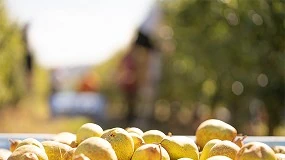 Foto de Mercadona comprou em 2020 um total de 1.700 toneladas de pera rocha