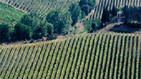 Foto de Antonio Carraro publica para 2010 su calendario '100 years'