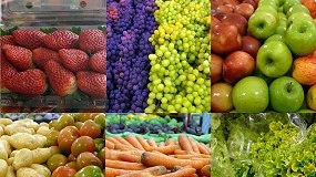 Foto de Mais de 18 mil toneladas de produtos alimentares doados pelo setor da Distribuio Alimentar