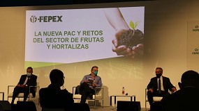 Foto de El MAPA ofrece detalles de la integración de frutas y hortalizas en la nueva PAC