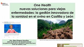 Foto de One Health, nuevas soluciones para viejas enfermedades: la gestión innovadora de la sanidad en el ovino en Castilla y León