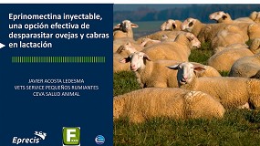 Foto de Eprinomectina inyectable, una opción efectiva de desparasitar ovejas y cabras en lactación