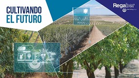 Picture of [es] Regaber, soluciones sostenibles, eficientes y rentables aplicadas al olivo