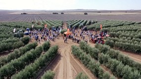 Foto de DemoOlivo 2021 se convierte en escaparate de referencia sobre innovación en el cultivo del olivar