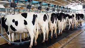 Foto de Las organizaciones agrarias se unen para exigir aumentos en el precio de la leche
