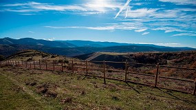 Foto de Inversin de ms de 44.000 euros en La Rioja para cerramientos que protegern al ganado ovino del lobo