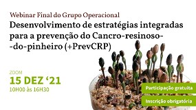 Foto de Webinar final debate prevenção do cancro resinoso do pinheiro