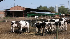 Foto de Valoracin positiva en UPA de la intencin de Pedro Snchez de incluir los costes en los contratos lcteos