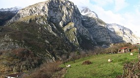 Foto de Los ganaderos asturianos recuerdan el papel del pastoreo en la prevención de incendios