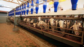 Foto de La leche para la DOP Queso Manchego rompe moldes y sube un 23,1% en el último año
