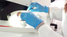 Fotografia de [es] Una PCR para asegurar que un mejilln es de donde dice ser