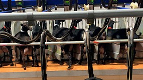 Foto de Se consolida la fuerte atomización autonómica de los compradores de leche de cabra