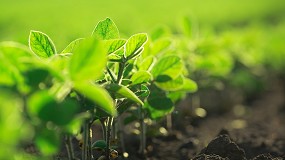 Picture of [es] Nuevas claves sobre la eficiencia en la utilizacin de nutrientes por los cultivos