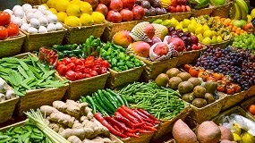 Foto de El sector hortofrutícola impulsa el etiquetado inteligente para conectar a productores y consumidores