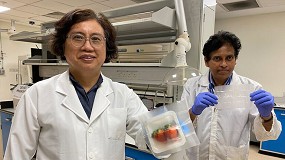 Foto de Investigadores diseñan un nuevo material de envasado biodegradable y sostenible a partir de maíz