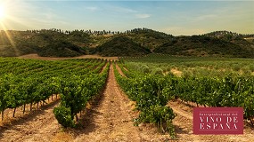 Fotografia de [es] La Interprofesional del Vino de Espaa trabaja junto a KPMG en el desarrollo de un plan estratgico sectorial