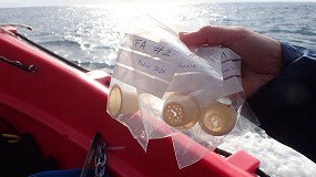 Foto de Desarrollan una cápsula de café compostable y biodegradable en el medio marino