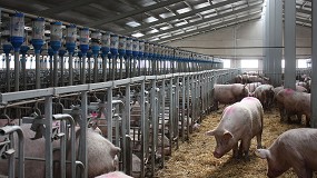 Foto de Bruselas aprueba ayudas para el almacenamiento privado de la carne de cerdo